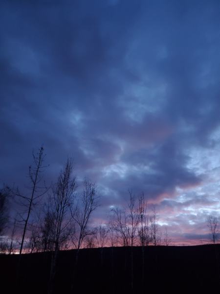 midnight sunset - vertical Vertical image of dramatic, dark sunset skies near dusk with clouds and pink color on the horizon