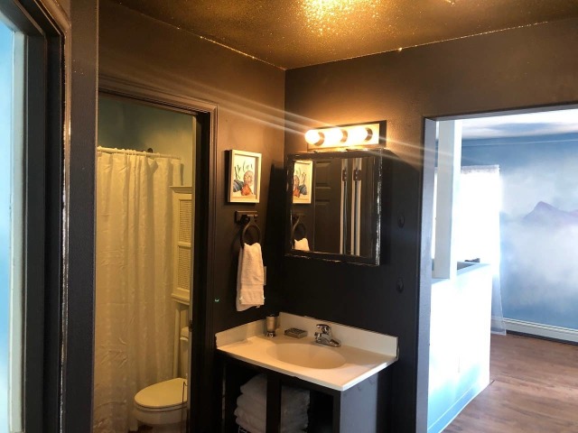 black bathroom
