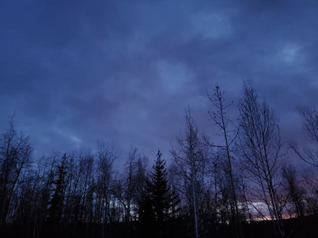 midnight sunset - west sky Dusky sky with patchy clouds and dark silhouettes of trees at the bottom, a tinge of sunset color at the bottom right