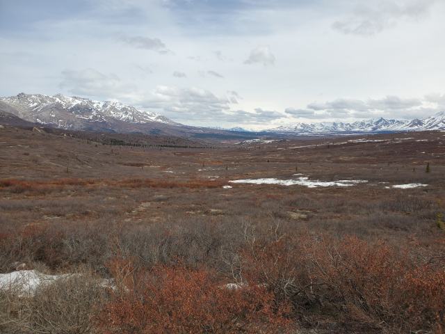 a wide expanse of sweeping dish-shaped glacial valley covered with scrubby plants and no trees, with snow-capped mountains in the background
